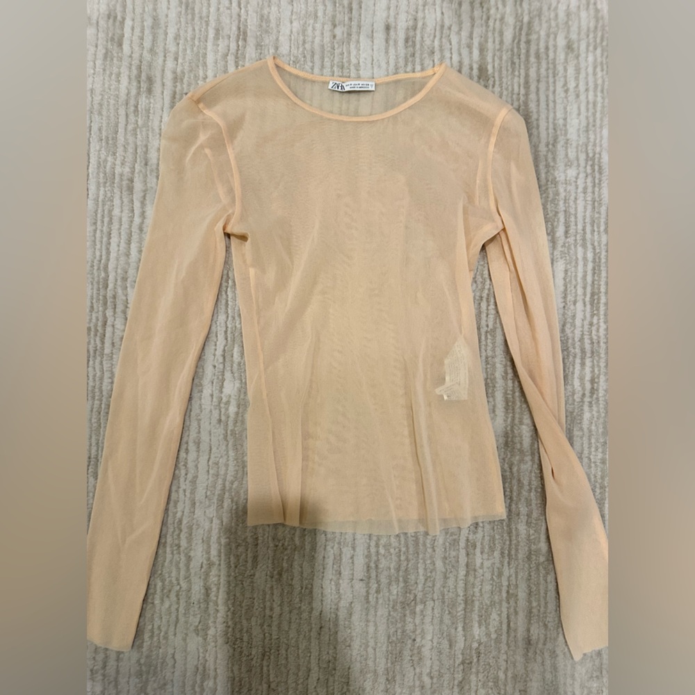 Sheer Long Sleeve Top in Nude